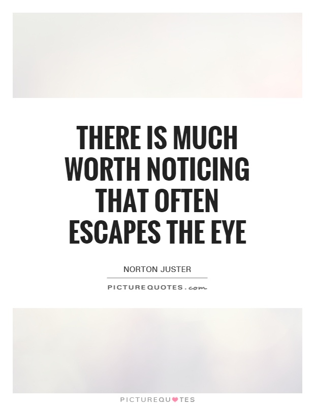 There is much worth noticing that often escapes the eye Picture Quote #1