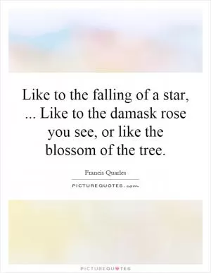 Like to the falling of a star,... Like to the damask rose you see, or like the blossom of the tree Picture Quote #1
