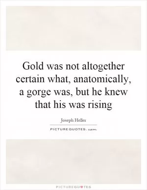 Gold was not altogether certain what, anatomically, a gorge was, but he knew that his was rising Picture Quote #1