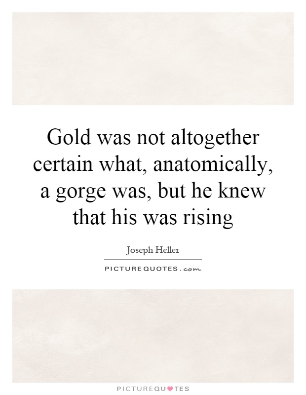 Gold was not altogether certain what, anatomically, a gorge was, but he knew that his was rising Picture Quote #1