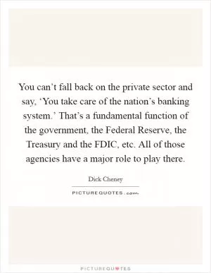 You can’t fall back on the private sector and say, ‘You take care of the nation’s banking system.’ That’s a fundamental function of the government, the Federal Reserve, the Treasury and the FDIC, etc. All of those agencies have a major role to play there Picture Quote #1