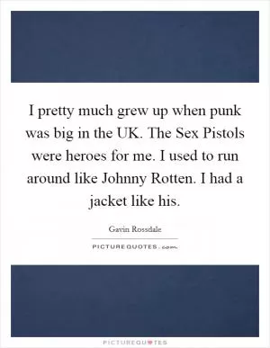I pretty much grew up when punk was big in the UK. The Sex Pistols were heroes for me. I used to run around like Johnny Rotten. I had a jacket like his Picture Quote #1