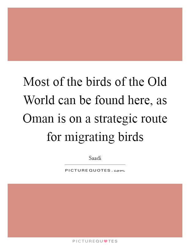 Most of the birds of the Old World can be found here, as Oman is on a strategic route for migrating birds Picture Quote #1