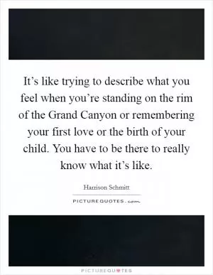 It’s like trying to describe what you feel when you’re standing on the rim of the Grand Canyon or remembering your first love or the birth of your child. You have to be there to really know what it’s like Picture Quote #1
