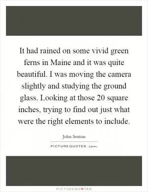 It had rained on some vivid green ferns in Maine and it was quite beautiful. I was moving the camera slightly and studying the ground glass. Looking at those 20 square inches, trying to find out just what were the right elements to include Picture Quote #1