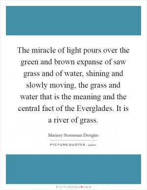 The miracle of light pours over the green and brown expanse of saw grass and of water, shining and slowly moving, the grass and water that is the meaning and the central fact of the Everglades. It is a river of grass Picture Quote #1