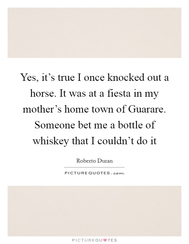 Yes, it's true I once knocked out a horse. It was at a fiesta in my mother's home town of Guarare. Someone bet me a bottle of whiskey that I couldn't do it Picture Quote #1