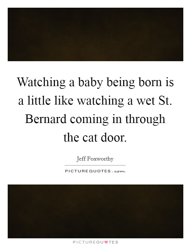 Watching a baby being born is a little like watching a wet St. Bernard coming in through the cat door Picture Quote #1
