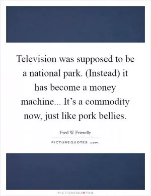 Television was supposed to be a national park. (Instead) it has become a money machine... It’s a commodity now, just like pork bellies Picture Quote #1