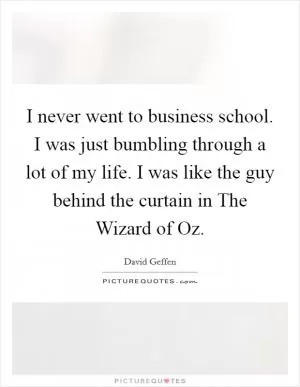 I never went to business school. I was just bumbling through a lot of my life. I was like the guy behind the curtain in The Wizard of Oz Picture Quote #1