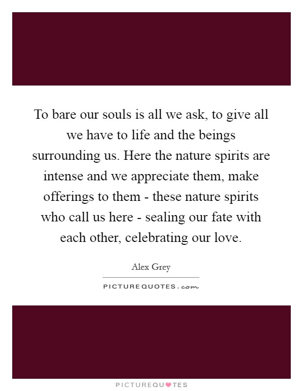 To bare our souls is all we ask, to give all we have to life and the beings surrounding us. Here the nature spirits are intense and we appreciate them, make offerings to them - these nature spirits who call us here - sealing our fate with each other, celebrating our love Picture Quote #1
