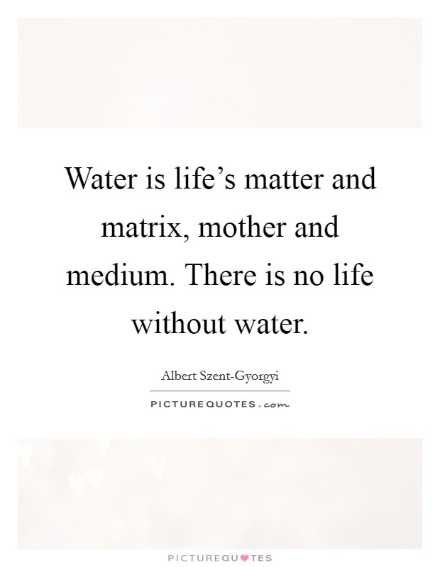 Water is life's matter and matrix, mother and medium. There is no life without water Picture Quote #1