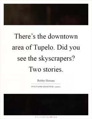 There’s the downtown area of Tupelo. Did you see the skyscrapers? Two stories Picture Quote #1