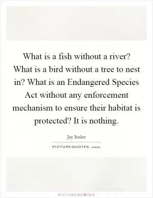 What is a fish without a river? What is a bird without a tree to nest in? What is an Endangered Species Act without any enforcement mechanism to ensure their habitat is protected? It is nothing Picture Quote #1