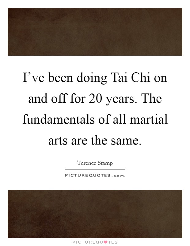 I've been doing Tai Chi on and off for 20 years. The fundamentals of all martial arts are the same Picture Quote #1