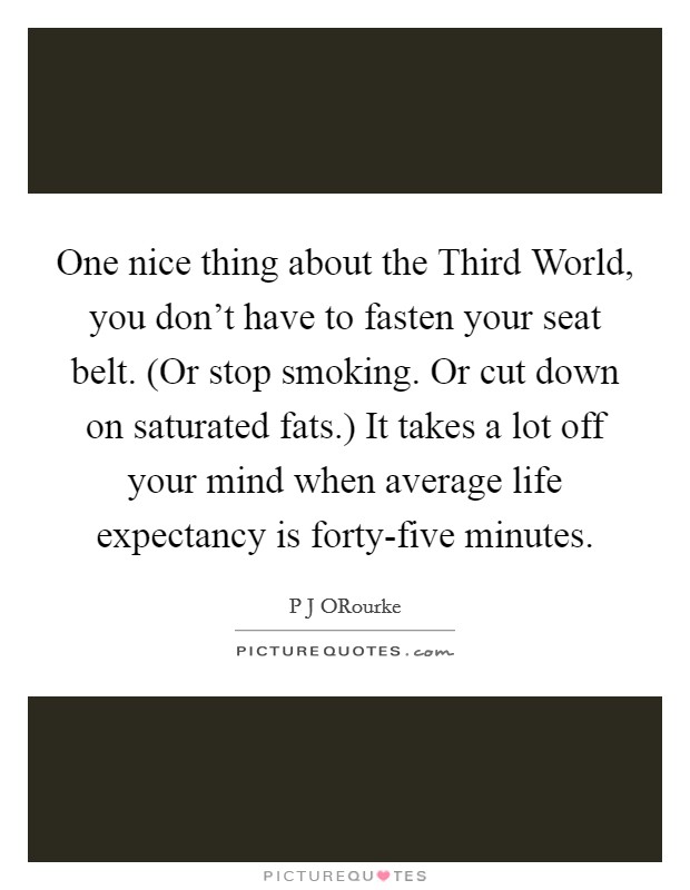 One nice thing about the Third World, you don't have to fasten your seat belt. (Or stop smoking. Or cut down on saturated fats.) It takes a lot off your mind when average life expectancy is forty-five minutes Picture Quote #1