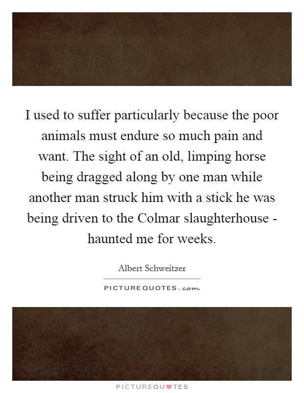 I used to suffer particularly because the poor animals must endure so much pain and want. The sight of an old, limping horse being dragged along by one man while another man struck him with a stick he was being driven to the Colmar slaughterhouse - haunted me for weeks Picture Quote #1