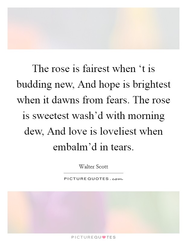 The rose is fairest when ‘t is budding new, And hope is brightest when it dawns from fears. The rose is sweetest wash'd with morning dew, And love is loveliest when embalm'd in tears Picture Quote #1