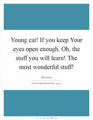 Young cat! If you keep Your eyes open enough, Oh, the stuff you will learn! The most wonderful stuff! Picture Quote #1