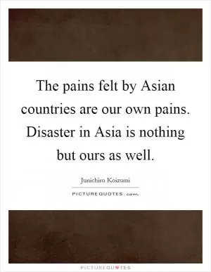 The pains felt by Asian countries are our own pains. Disaster in Asia is nothing but ours as well Picture Quote #1