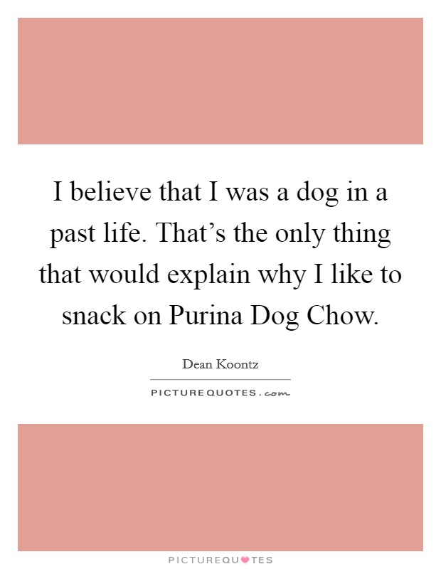 I believe that I was a dog in a past life. That's the only thing that would explain why I like to snack on Purina Dog Chow Picture Quote #1