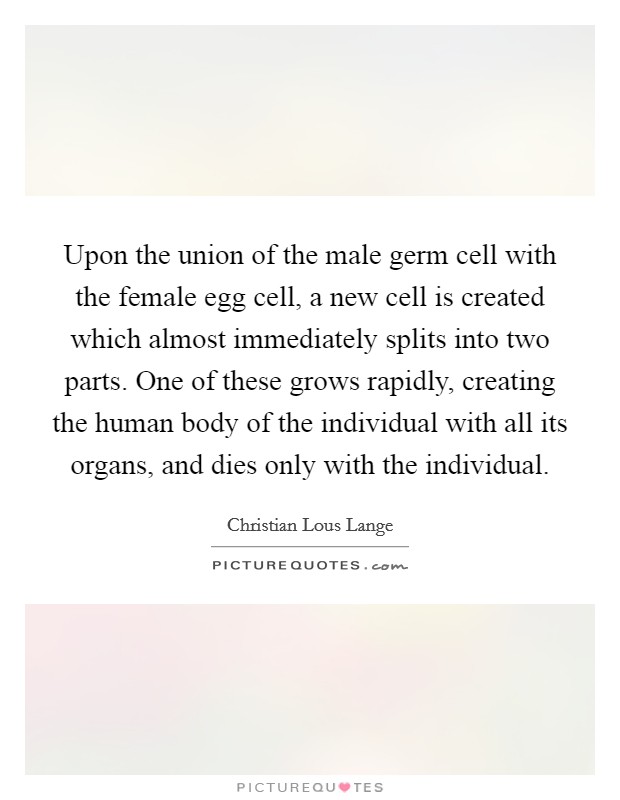 Upon the union of the male germ cell with the female egg cell, a new cell is created which almost immediately splits into two parts. One of these grows rapidly, creating the human body of the individual with all its organs, and dies only with the individual Picture Quote #1
