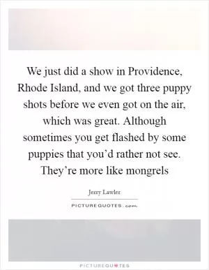 We just did a show in Providence, Rhode Island, and we got three puppy shots before we even got on the air, which was great. Although sometimes you get flashed by some puppies that you’d rather not see. They’re more like mongrels Picture Quote #1