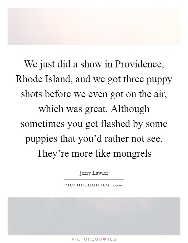 We just did a show in Providence, Rhode Island, and we got three puppy shots before we even got on the air, which was great. Although sometimes you get flashed by some puppies that you'd rather not see. They're more like mongrels Picture Quote #1