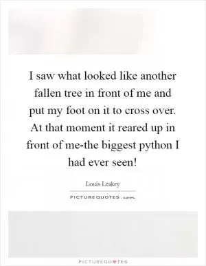 I saw what looked like another fallen tree in front of me and put my foot on it to cross over. At that moment it reared up in front of me-the biggest python I had ever seen! Picture Quote #1