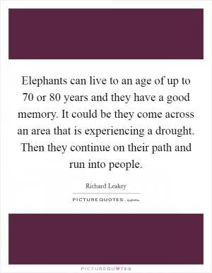 Elephants can live to an age of up to 70 or 80 years and they have a good memory. It could be they come across an area that is experiencing a drought. Then they continue on their path and run into people Picture Quote #1