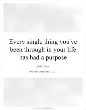 Every single thing you've been through in your life has had a purpose Picture Quote #1