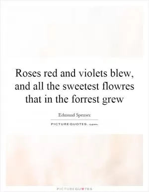 Roses red and violets blew, and all the sweetest flowres that in the forrest grew Picture Quote #1