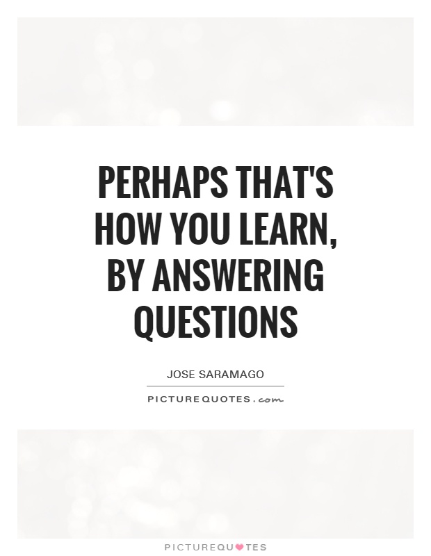 perhaps that's how you learn, by answering questions Picture Quote #1
