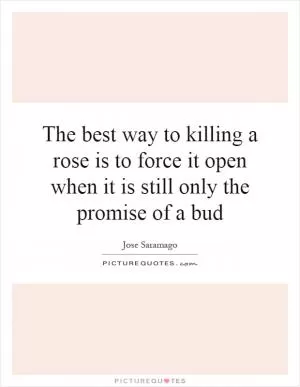 The best way to killing a rose is to force it open when it is still only the promise of a bud Picture Quote #1