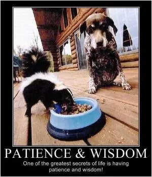 Patience and wisdom. One of the greatest secrets of life is having patience and wisdom! Picture Quote #1