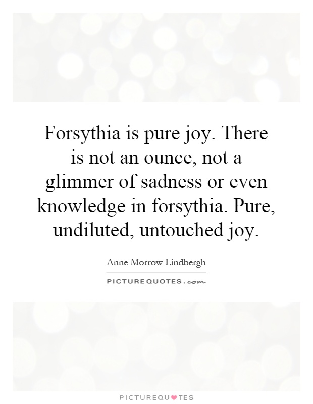 Forsythia is pure joy. There is not an ounce, not a glimmer of sadness or even knowledge in forsythia. Pure, undiluted, untouched joy Picture Quote #1