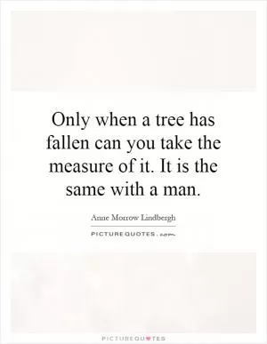 Only when a tree has fallen can you take the measure of it. It is the same with a man Picture Quote #1