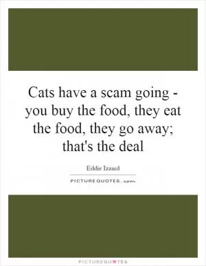 Cats have a scam going - you buy the food, they eat the food, they go away; that's the deal Picture Quote #1