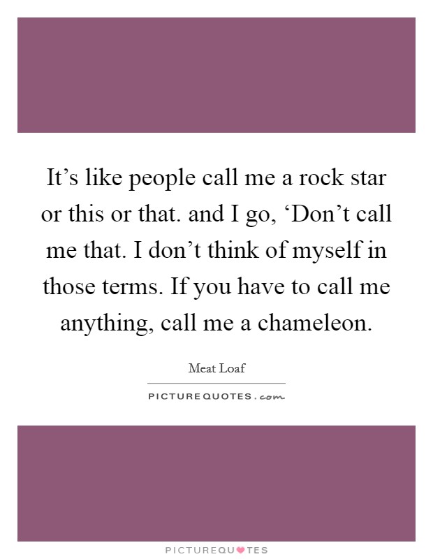 It's like people call me a rock star or this or that. and I go, ‘Don't call me that. I don't think of myself in those terms. If you have to call me anything, call me a chameleon Picture Quote #1