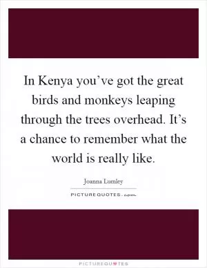 In Kenya you’ve got the great birds and monkeys leaping through the trees overhead. It’s a chance to remember what the world is really like Picture Quote #1