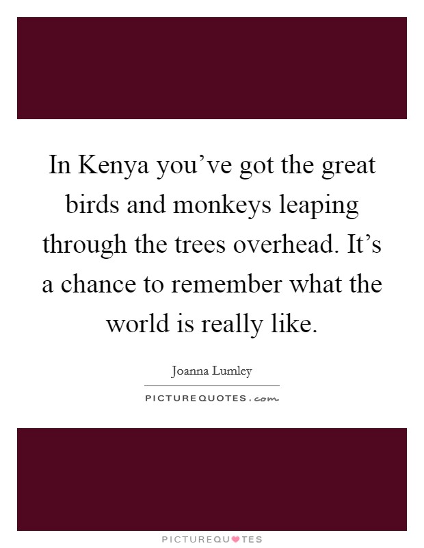 In Kenya you've got the great birds and monkeys leaping through the trees overhead. It's a chance to remember what the world is really like Picture Quote #1