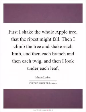 First I shake the whole Apple tree, that the ripest might fall. Then I climb the tree and shake each limb, and then each branch and then each twig, and then I look under each leaf Picture Quote #1