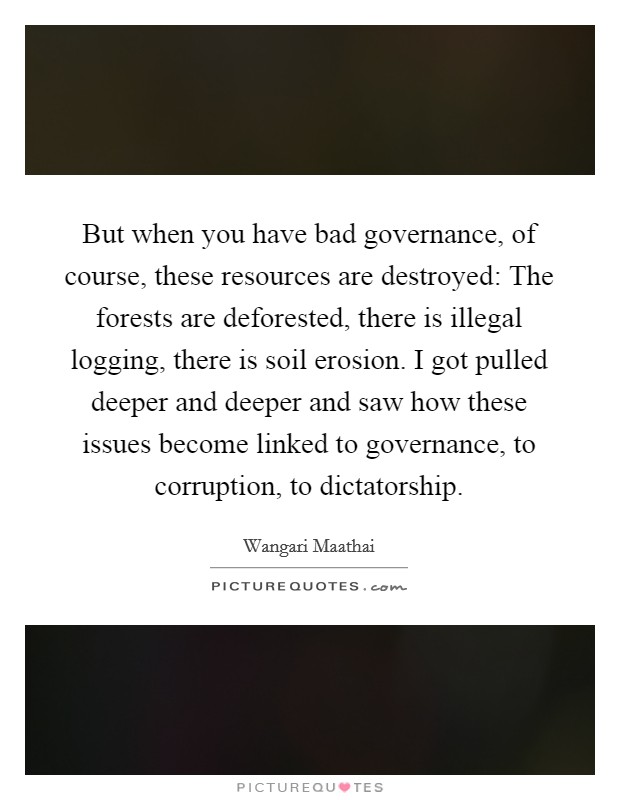 But when you have bad governance, of course, these resources are destroyed: The forests are deforested, there is illegal logging, there is soil erosion. I got pulled deeper and deeper and saw how these issues become linked to governance, to corruption, to dictatorship Picture Quote #1