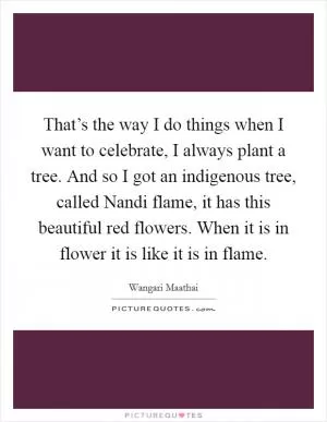 That’s the way I do things when I want to celebrate, I always plant a tree. And so I got an indigenous tree, called Nandi flame, it has this beautiful red flowers. When it is in flower it is like it is in flame Picture Quote #1