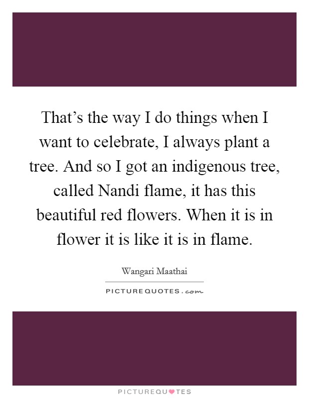 That's the way I do things when I want to celebrate, I always plant a tree. And so I got an indigenous tree, called Nandi flame, it has this beautiful red flowers. When it is in flower it is like it is in flame Picture Quote #1