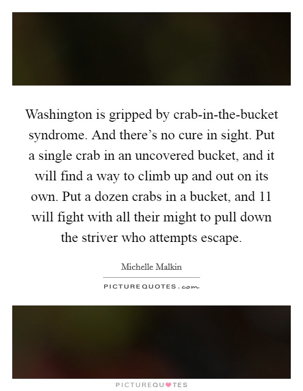 Washington is gripped by crab-in-the-bucket syndrome. And there's no cure in sight. Put a single crab in an uncovered bucket, and it will find a way to climb up and out on its own. Put a dozen crabs in a bucket, and 11 will fight with all their might to pull down the striver who attempts escape Picture Quote #1