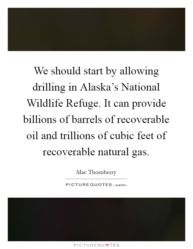 We should start by allowing drilling in Alaska's National Wildlife Refuge. It can provide billions of barrels of recoverable oil and trillions of cubic feet of recoverable natural gas Picture Quote #1