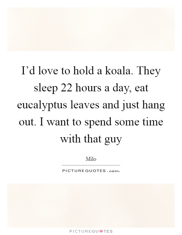 I'd love to hold a koala. They sleep 22 hours a day, eat eucalyptus leaves and just hang out. I want to spend some time with that guy Picture Quote #1