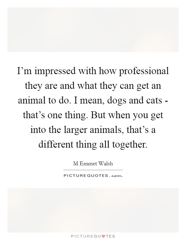 I'm impressed with how professional they are and what they can get an animal to do. I mean, dogs and cats - that's one thing. But when you get into the larger animals, that's a different thing all together Picture Quote #1