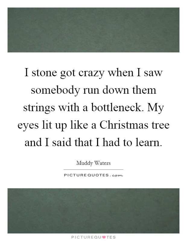 I stone got crazy when I saw somebody run down them strings with a bottleneck. My eyes lit up like a Christmas tree and I said that I had to learn Picture Quote #1
